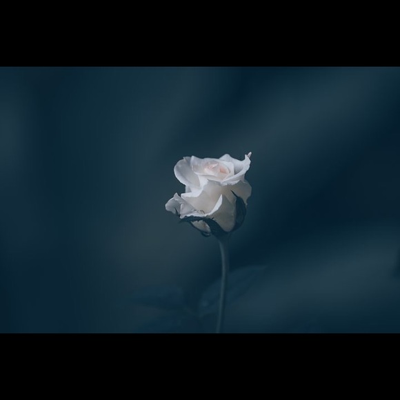 Meet your Posher, Jessica - Picture 1 of 1